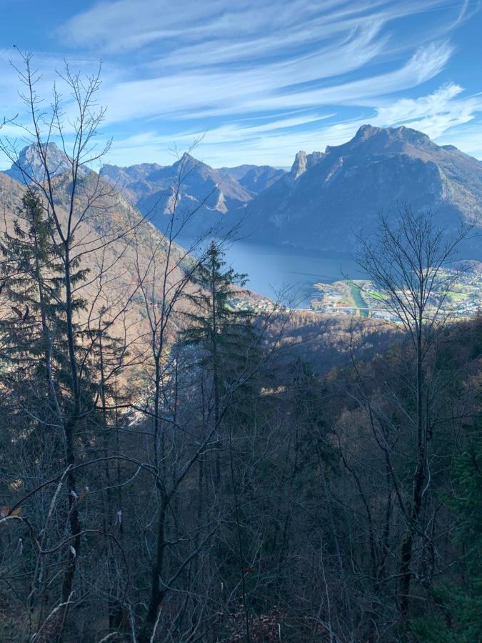Bergglueck - Gemuetliches Appartement Am Traunsee Альтмюнстер Экстерьер фото